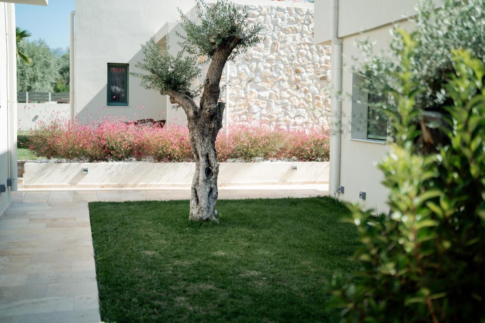 Magnolia Villas Potos Thassos Exterior foto